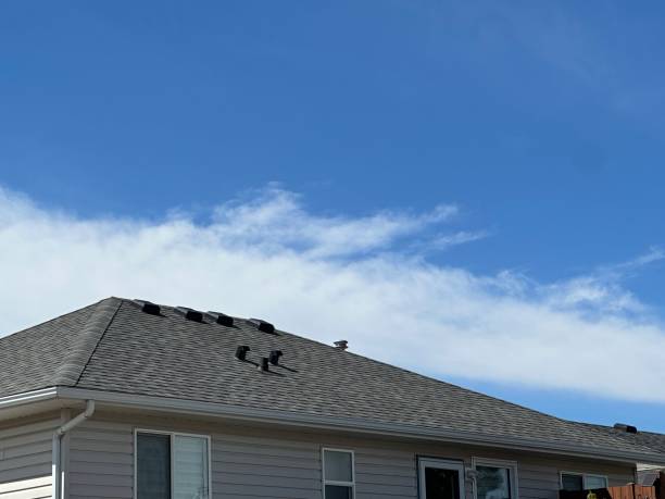 Best Gutter Installation and Repair  in Darrington, WA